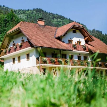 Na Logu - Farm Stay Ambroz Gregorc Solčava Exterior foto