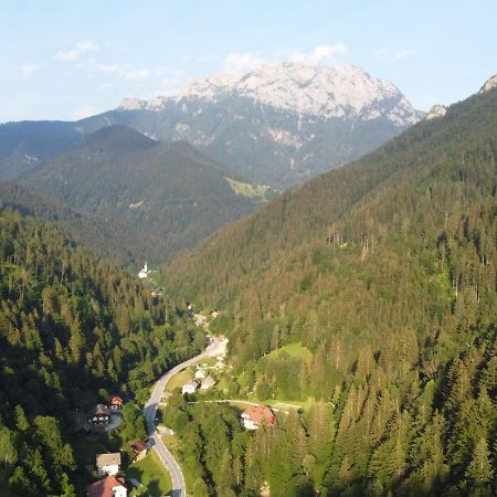 Na Logu - Farm Stay Ambroz Gregorc Solčava Exterior foto