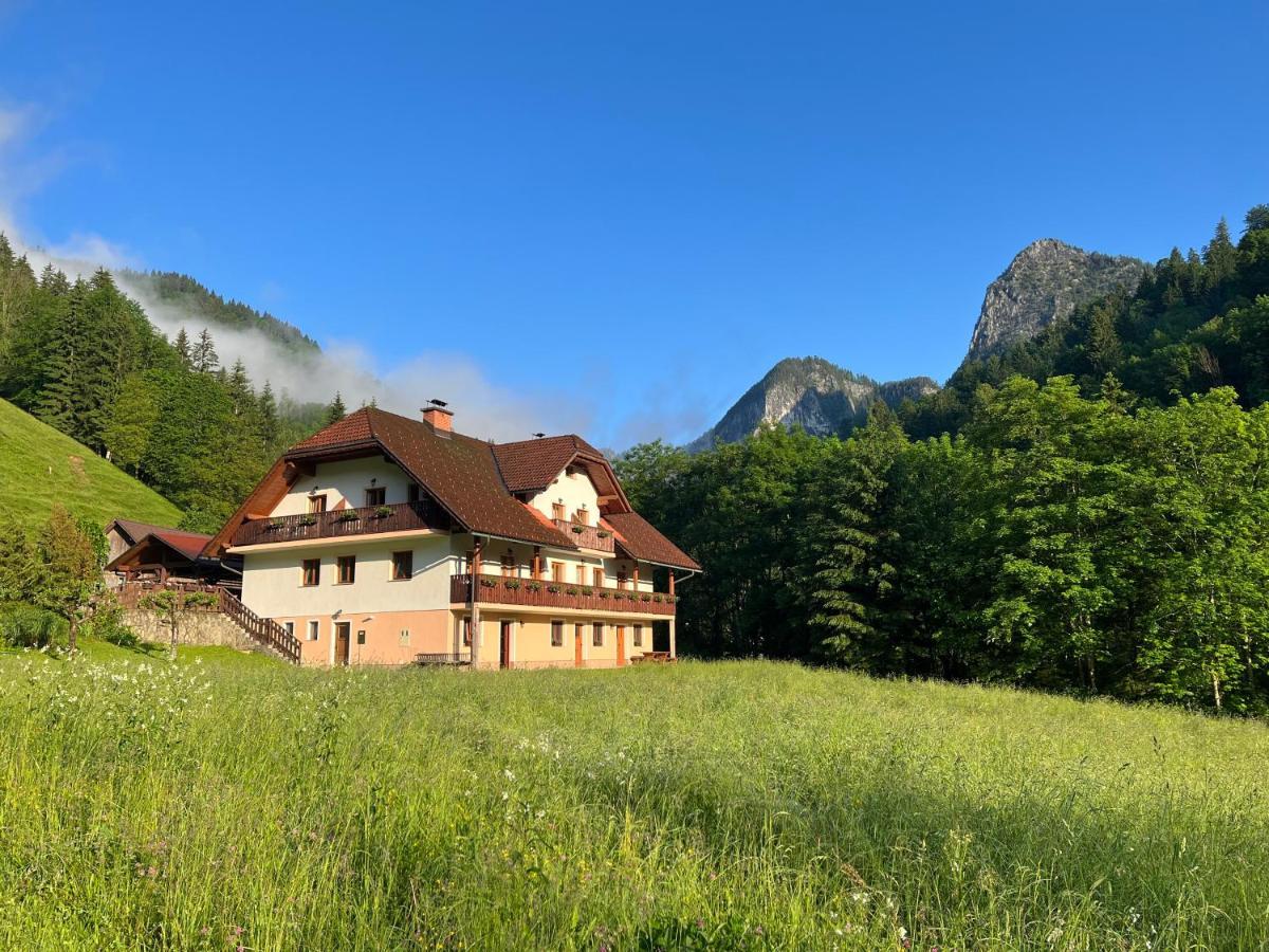 Na Logu - Farm Stay Ambroz Gregorc Solčava Exterior foto