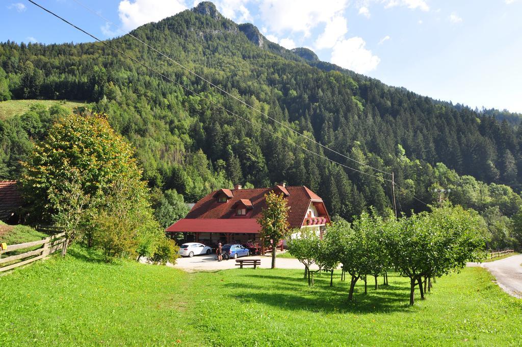 Na Logu - Farm Stay Ambroz Gregorc Solčava Exterior foto