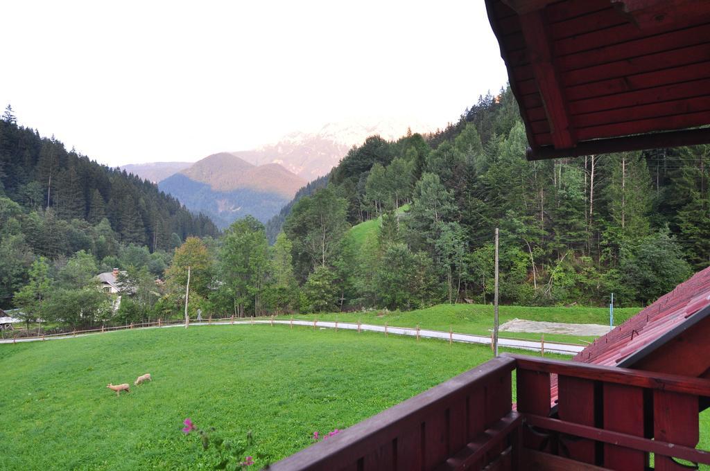 Na Logu - Farm Stay Ambroz Gregorc Solčava Zimmer foto