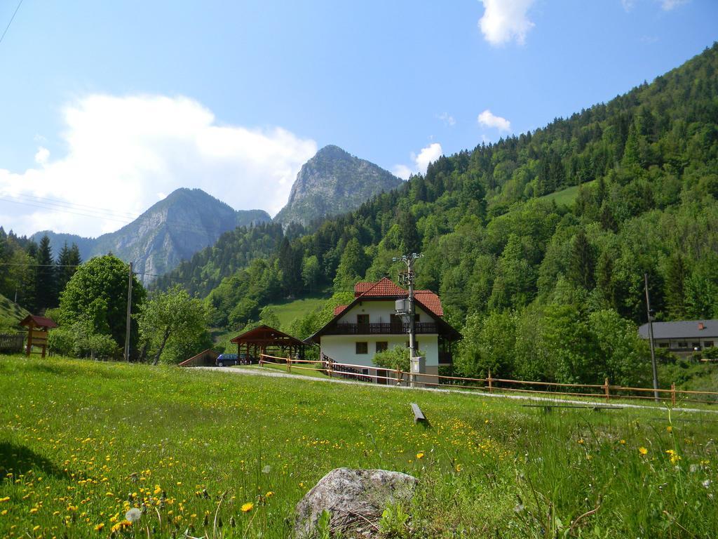 Na Logu - Farm Stay Ambroz Gregorc Solčava Exterior foto