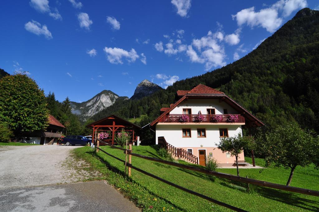 Na Logu - Farm Stay Ambroz Gregorc Solčava Exterior foto